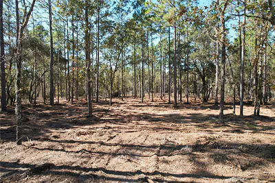 93RD TERRACE Archer FL