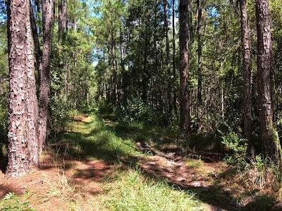 0 Old Grade Road, FL 33868 Polk City FL