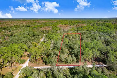 7292 SONIA AVENUE Webster FL