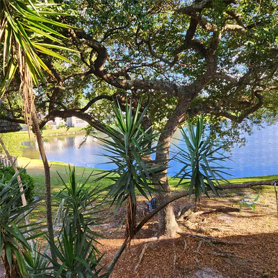 3634 NW 95th Terrace 3634, Sunrise, FL 33351 #3634 Sunrise FL