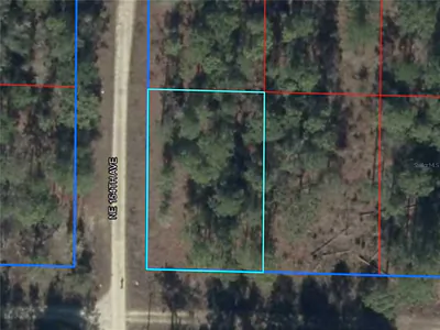 NE 15TH LN LOT 11 Williston FL