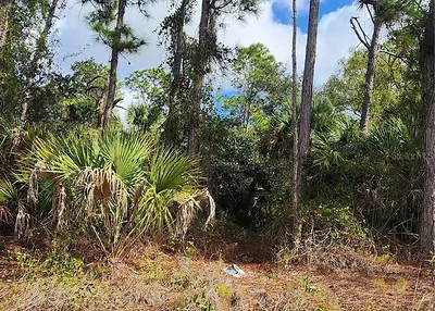 ANANAS ROAD North Port FL