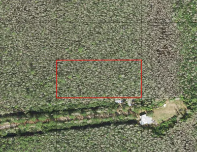 0 Holopaw Groves Road, St. Cloud, FL 34772 St Cloud FL