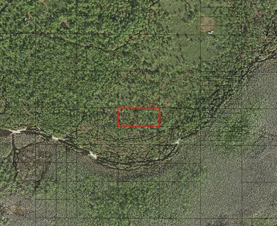 0 Holopaw Groves Road, St. Cloud, FL 34772 St Cloud FL
