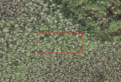 0 Holopaw Groves Road, St. Cloud, FL 34772 St Cloud FL