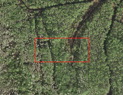 0 Holopaw Groves Road, St. Cloud, FL 34772 St Cloud FL