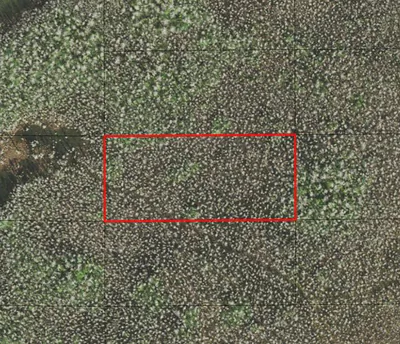 0 Holopaw Groves Road, St. Cloud, FL 34772 St Cloud FL