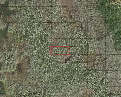 0 Holopaw Groves Road, St. Cloud, FL 34772 St Cloud FL