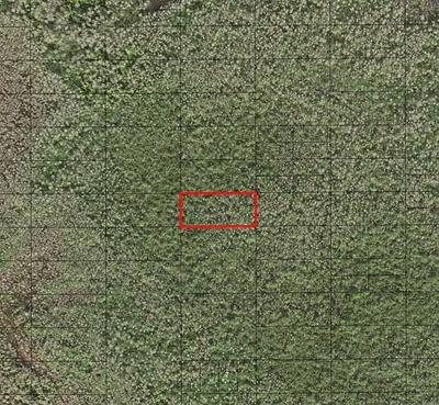 0 Holopaw Groves Road, St. Cloud, FL 34772 St Cloud FL