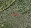 0 Holopaw Groves Road, St. Cloud, FL 34772 St Cloud FL