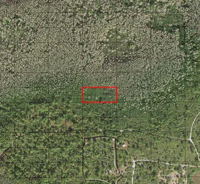 0 Holopaw Groves Road, St. Cloud, FL 34772 St Cloud FL