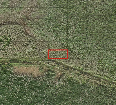 0 Holopaw Groves Road, St. Cloud, FL 34772 St Cloud FL