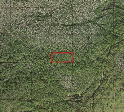 0 Holopaw Groves Road, St. Cloud, FL 34772 St Cloud FL