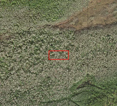 0 Holopaw Groves Road, St. Cloud, FL 34772 St Cloud FL