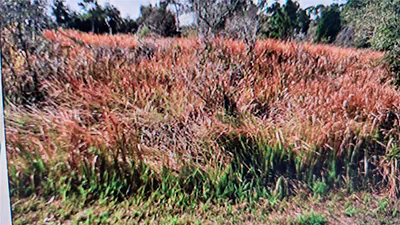 JAYLENE ROAD North Port FL
