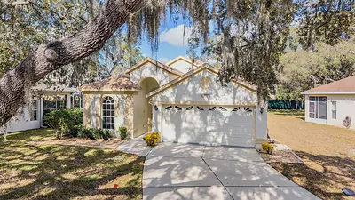16501 SANDHILL CRANE DRIVE Spring Hill FL