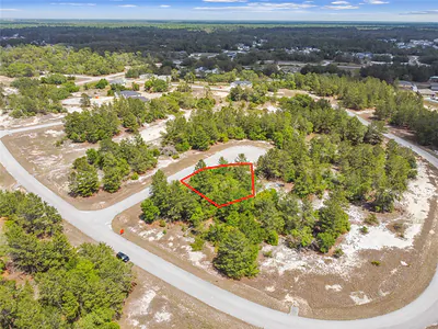 602 HOMOSASSA WAY Kissimmee FL