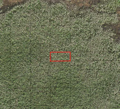 0 Holopaw Groves Road, St. Cloud, FL 34772 St Cloud FL