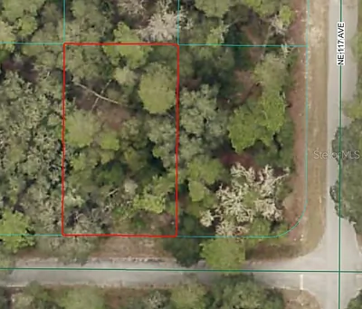 NE 239TH ST Fort Mc Coy FL