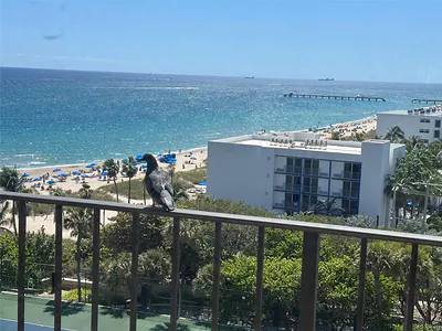 4900 N Ocean Boulevard 1003, Lauderdale-By-The-Sea, FL 33308 #1003 Lauderdale By The Sea FL