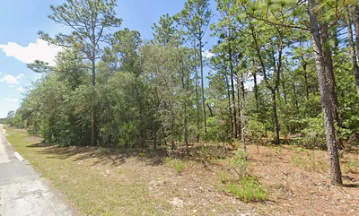 2795 W RUTLAND DRIVE Citrus Springs FL