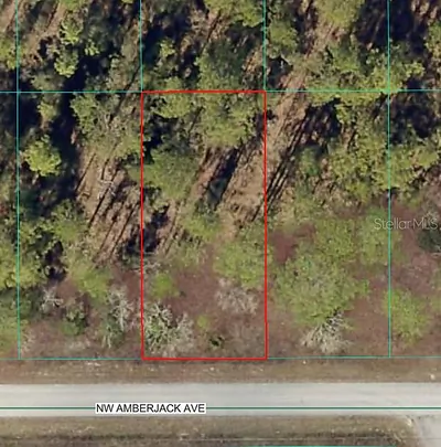 NW AMBERJACK AVENUE Dunnellon FL