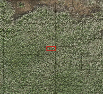 0 Holopaw Groves Road, St. Cloud, FL 34772 St Cloud FL