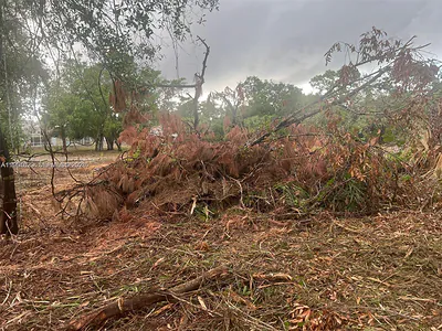 17 Rosevelt Ave Lehigh Acres FL