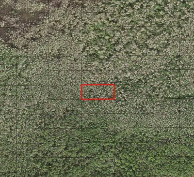 0 Holopaw Groves Road, St. Cloud, FL 34772 St Cloud FL