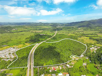 BO MAIZALES CALLE BORGES FINAL Naguabo PR