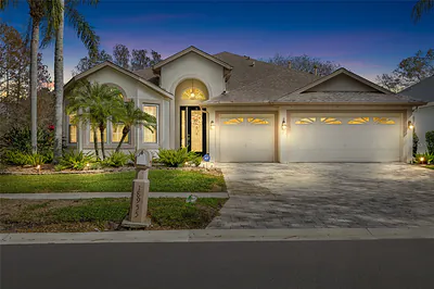 18955 MAISONS DRIVE Lutz FL