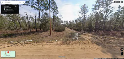 118 LINDA LANE Interlachen FL