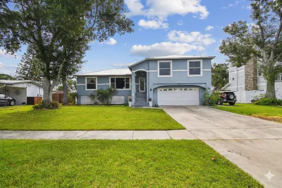 317 SHORE DRIVE E Oldsmar FL