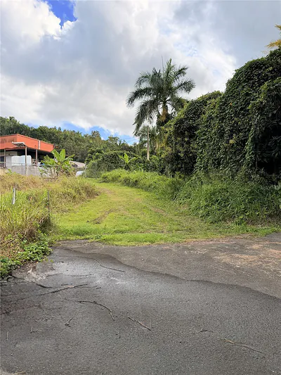 Cta. Abajo BO. BARRAZAS Carolina PR