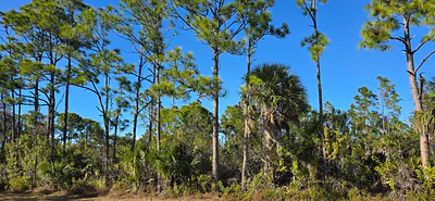 12054 KELLER AVENUE Port Charlotte FL