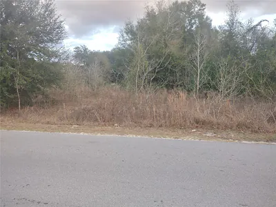 lots 43, 44, 45 NW 55TH AVENUE Ocala FL