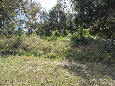 1680 CATALINA BLVD Deltona FL