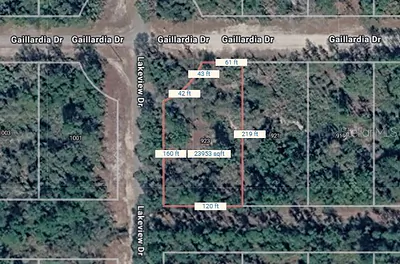 923 GAILLARDIA DRIVE Indian Lake Estates FL