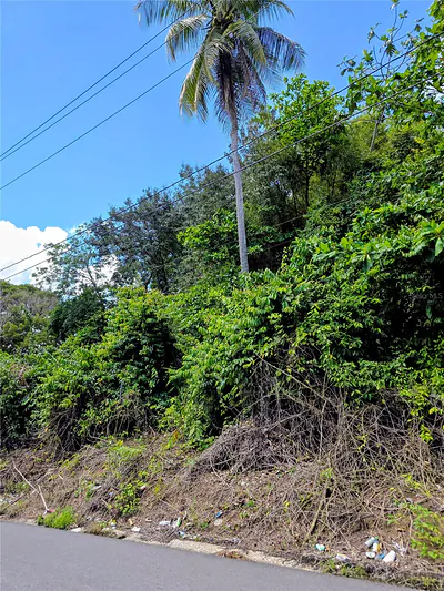 BO QUEBRADA CRUZ Toa Alta PR