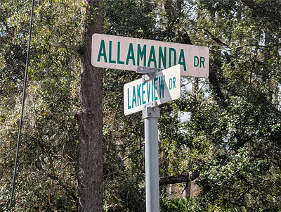 ALLAMANDA DRIVE Indian Lake Estates FL