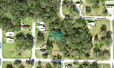 LITTLE ORANGE AVENUE Mulberry FL