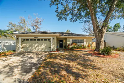 2397 E ORANGEHILL AVENUE Palm Harbor FL