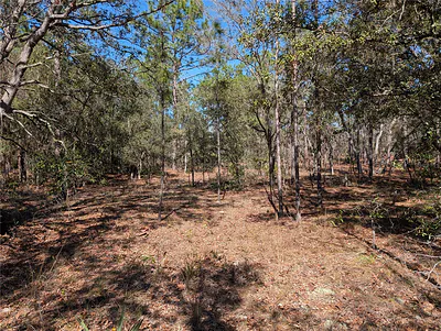 SW 81ST STREET Dunnellon FL