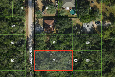 6619 N CANOPY TERRACE Hernando FL