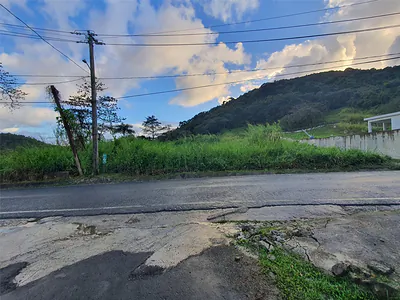 CARR 191 Naguabo PR