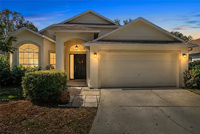 19014 CHEMILLE DRIVE Lutz FL