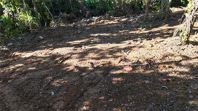 186 CAMINO LOS REYES Canovanas PR