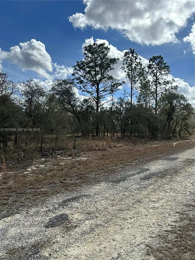 00 SW 30th Lane, Ocala, FL 34481 Ocala FL
