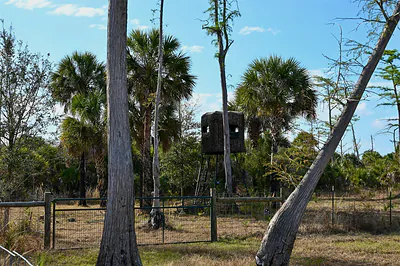 BLACK BURN ROAD Naples FL