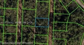 718 Neale Street, FL 33852 Lake Placid FL
